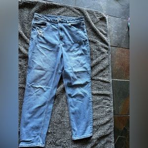 American Eagle Size 14 Mom Jean